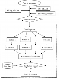 The Entire Flow Chart For The Prediction Of Drug Binding