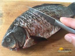 Bibanul curatat, spalat, sters cu un prosop de hartie, se stropeste cu zeama de lamaie, se lasa 10 minute la rece. Reteta Culinara Mancaruri Cu Peste Caras Prajit Ca In Delta Dunarii Cum Se Face Info Delta Ro