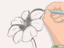 4 Cara Untuk Menggambar Wikihow