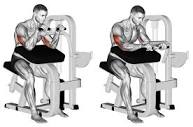Machine Triceps Extension – Muscles Worked, How-To, Benefits, and ...