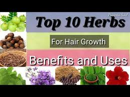 Top 10 Herbs Improve Hair Growth How To Use Indian Herbs For Hair Growth Benifits Of Herbs For Hair Youtube
