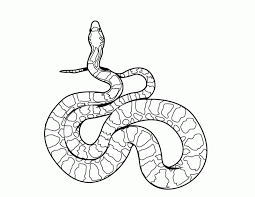Use this lesson in your classroom, homeschooling curriculum or just as a fun kids activity that you as a parent can do. Rattlesnake Coloring Page Coloring Home