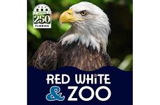 Red, White & Zoo