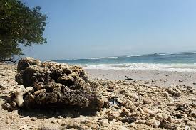 Pantai pangandaran memiliki pasir pantai berwarna putih dan air laut yang cukup jernih. Pantai Pasir Putih Keindahan Eksotis Di Sisi Barat Cagar Alam Pananjung Indonesia Kaya