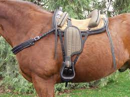 rebecca treeless saddles or the softrider horse saddles saddles horse tack