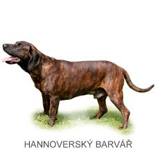 Image result for bavorský barvář