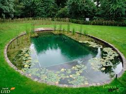 Plavatelnye Prudy Dlya Dachi Zakazat Plavatelnyj Prud V Zaporozhe Natural Swimming Ponds Swimming Pool Designs Garden Pool