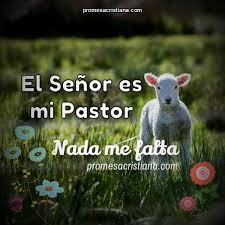 Temed al señor, vosotros sus santos, pues nada les falta a aquellos que le temen. Promesas Cristianas Biblicas El Senor Es Mi Pastor Y Nada Me Falta Promesa Cristiana