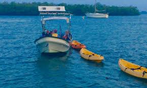 Bioluminescent Bay Puerto Rico Boat Tours Bio Bay Kayaking Tours In Parguera Puerto Rico Kayaking Pool Float
