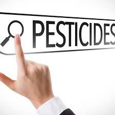 Structural pest control license is just another way of saying either general pest, or traditionally, pest control license. Ca 20 Hour Qac Qal Course Categories A B C D E F G I J K L And O A Complete Course Pest Control Courses