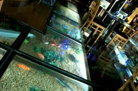 Http Www Oceanworldaquaria Com Images Type1 Slide8 Png Fish Tank Floor Glass Floor Restaurant Flooring Fish Tank