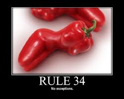 Rule 34 – If it exists there IS porn of it – You Only Wetter