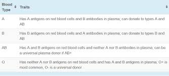 5 foods to eat for blood type o healthy concepts with a