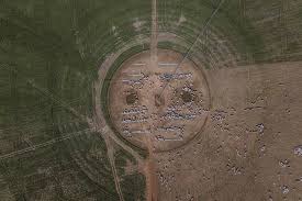 14 Benefícios exclusivos para os clientes do Pecuária de Decisão