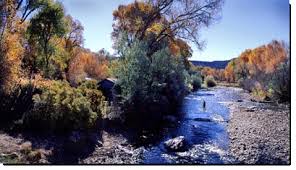 Maybe you would like to learn more about one of these? Pecos River Cabins