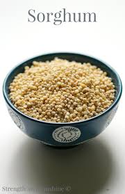 Image result for Sorghum