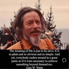 The Meaning of Life and Suffering