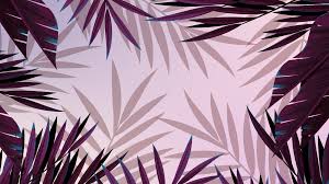 Download hd aesthetic wallpapers best collection. Aesthetic Pc Wallpaper 4k Palm Leaves