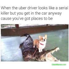 688 x 720 pixel type jpg download. Dog Memes Page 9 Clean Memes