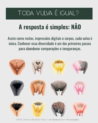 Ilustração central da proposta