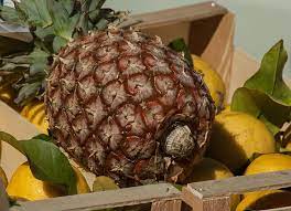 What Is The Best Time To Eat A Pineapple