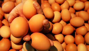 Ada dua jenis, telur ayam negeri/ras dan telur ayam kampung. Pengertian Telur Lengkap Beserta Jenis Cara Memilih Manfaat Dan Penyimpanannya Watonsinau Work
