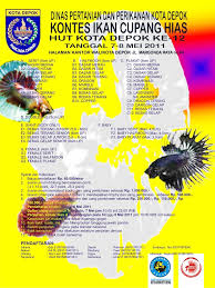 Panjang tubuhnya tidak sampai 5 cm. Brosur Depok Kontes Ikan Cupang Hias Dalam Rangka Hut Kota Flickr