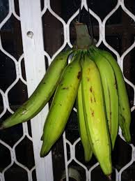 Kue pisang garing merupakan salah satu kue yang paling sering dikonsumsi dan ditemui campuran lainnya santan kental, garam, air, gula pasir, pisang uli atau pisang tanduk sedang. File Pisang Tanduk Agung Raja Jpg Wikimedia Commons