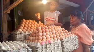 Check spelling or type a new query. Harga Telur Ayam Dan Terigu Masih Tinggi Pos Kupang