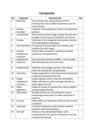 Plant and animal cell organelles. Matching Organelles And Their Functions Teaching Resources