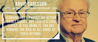 Water Plus Seychelle