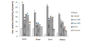 Image result for Sarcocephalus pobeguinii