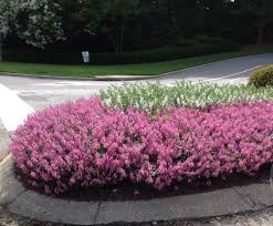 Pin On Garden Art