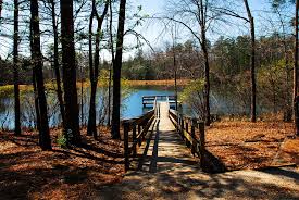 Maybe you would like to learn more about one of these? Oconee State Park Black Folks Camp Too