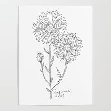 September Birth Flower Aster Ink Drawing Black And White Aster Floral Art Poster By Laura Maxw In 2020 Aster Flower Tattoos Birth Flower Tattoos Name Flower Tattoo