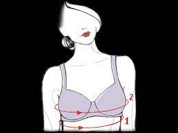 We did not find results for: Online Bra Size Calculator Find The Perfect Bra For You