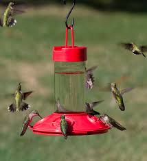 We did not find results for: Dr Jb S 16 Ounce Dishwasher Safe Hummingbird Feeder Plowhearth