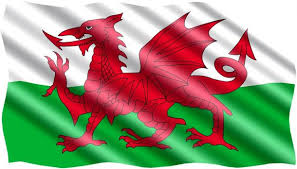 Most prevalent in folklore however, is the story of a great battle between a resident red dragon which lived in the hills of wales, and an interloping white dragon. The Legendary Welsh Dragon That Expelled The Saxons Ancient Origins