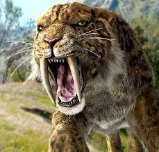 Smilodon One Of The Best Known Cats With Saber Tooth Smilodon Was Living In The North America And They Were Smilodon Extinct Animals Prehistoric Creatures