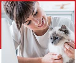 Come home to a sick pet? Annual Pet Wellness Care Visits In Sewell In Nj Pet Check Urgent Care