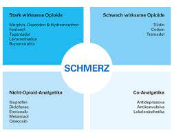Pharmakokinetische Wechselwirkungen Therapie Chronischer Schmerzen Schwerpunkt Opioide Arztcme