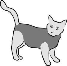 Onesies can be helpful to protect itchy cats from damaging their skin and are much better tolerated than. Suitical Covering Protective And Cooling Products For Pets