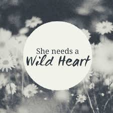 Wildheart The Vamps Wild Hearts The Vamps Songs The Vamps
