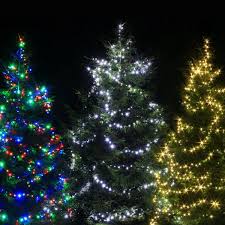 Check spelling or type a new query. Christmas Decorations And Festive Lights All Year Christmas Direct Christmas Decorations And Festive Lights