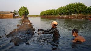 Crab farming practices in malaysia. Freshwater Prawn Farming Wikipedia