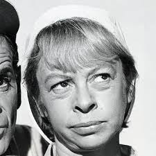 Frank Cady Net Worth