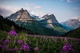Campgrounds outside glacier national park. This Is Why You Ll Want To Go Camping In Glacier National Park