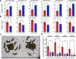 About aptive environmental aptive environmental provides environmentally responsible residential and commercial pest control services to more than 4,735 cities across north america. Circadian Regulation Of Night Feeding And Daytime Detoxification In A Formidable Asian Pest Spodoptera Litura Communications Biology