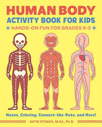 Introduce the topic with rhymes and songs like head, shoulders, knees and toes or if you're happy, and you know it or games like simon says. Human Body Activity Book For Kids Hands On Fun For Grades K 3 Ph D Katie Stokes M Ed 9781641522632 Amazon Com Books