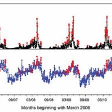 Image result for Pavetta pierlotii